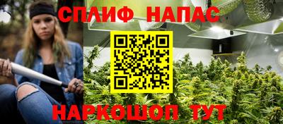 гашик Кунгур