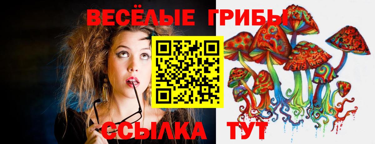 Галлюциногенные грибы Cubensis  дарнет шоп  Карпинск  Вход с VPN 