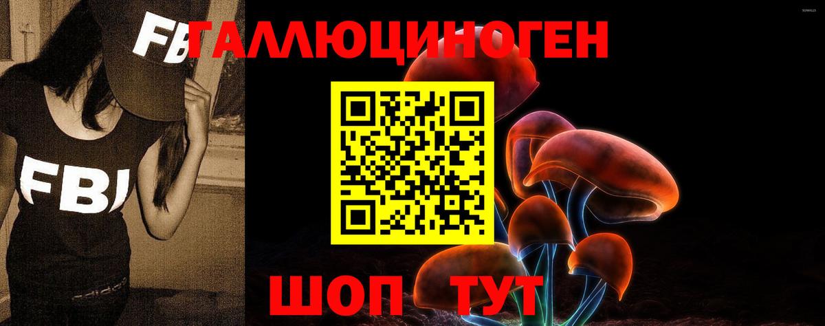 Псилоцибиновые грибы Magic Shrooms Карпинск